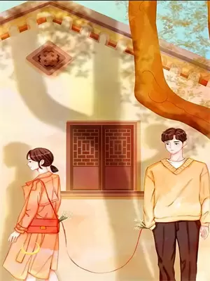 结婚七年后替身
