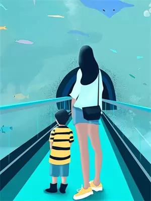 台城柳图片大全