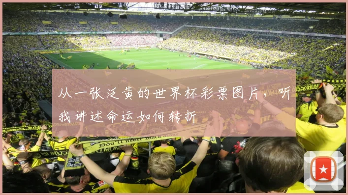 从一张泛黄的世界杯彩票图片，听我讲述命运如何转折