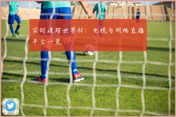 实时追踪世界杯：电视与网络直播平台一览