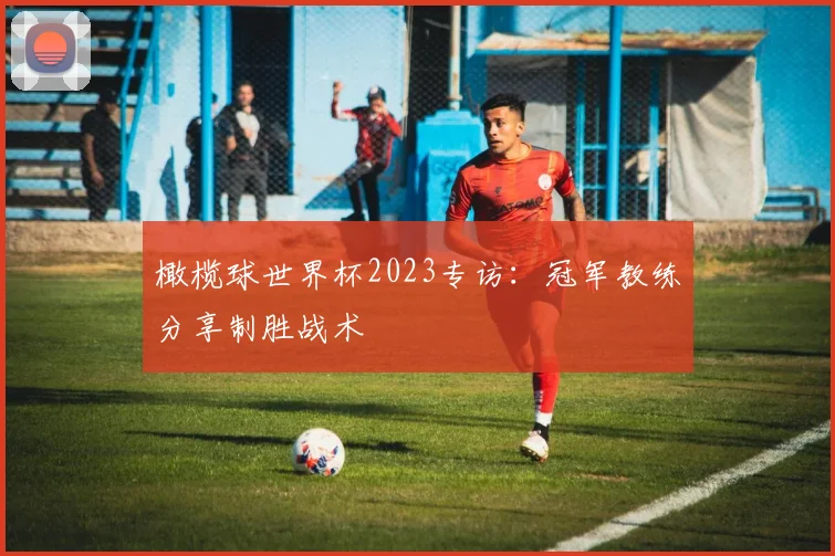 橄榄球世界杯2023专访：冠军教练分享制胜战术