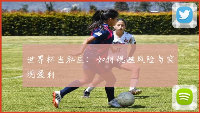 世界杯当私庄：如何规避风险与实现盈利