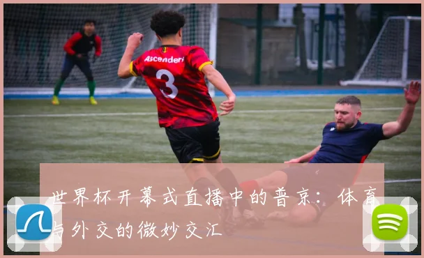 世界杯开幕式直播中的普京：体育与外交的微妙交汇